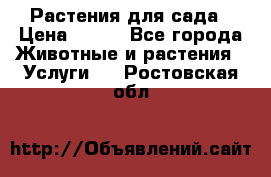 Растения для сада › Цена ­ 200 - Все города Животные и растения » Услуги   . Ростовская обл.